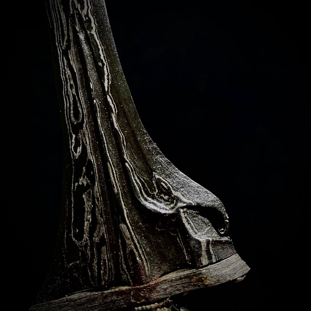 Keris Sinom Tindik Emas Kulit Semangka Tangguh Madiun Tus Asli Sepuh Kuno