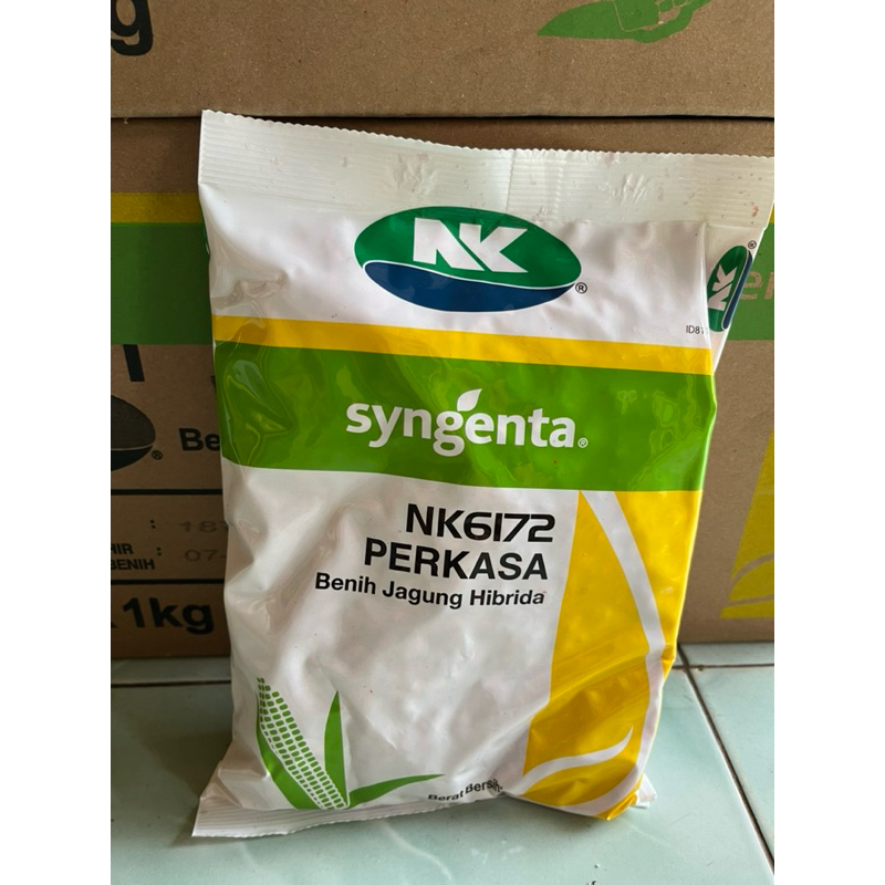 Bibit Jagung Syngenta NK672 Perkasa