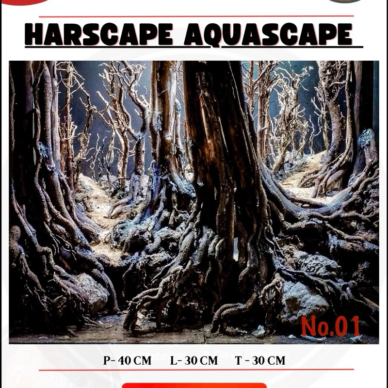 Aquascape Harscape kontes Tema Jungle (Hutan)