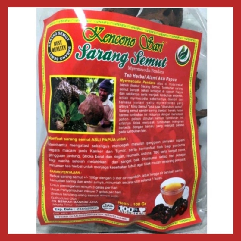 

Sarang Semut Obat Herbal Asli Papua Super Original Kencono Sari Herbal Kanker Tumor dan Struk