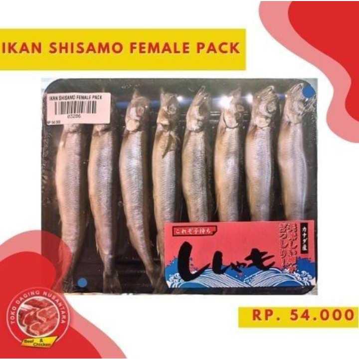 

IKAN SHISAMO FEMALE PACK