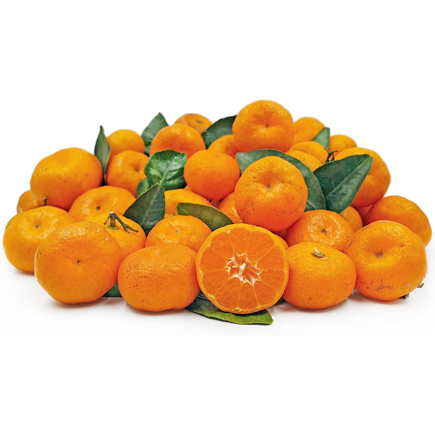 Jeruk Santang Madu Daun Birma Tangerine Shantang Orange Import 250 gr
