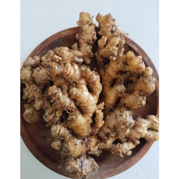 

BG65 JAHE EMPRIT 1kg 6663