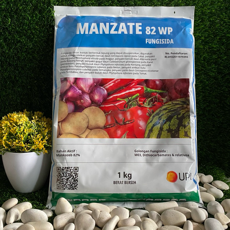 Manzate 82WP 1kg - Fungisida