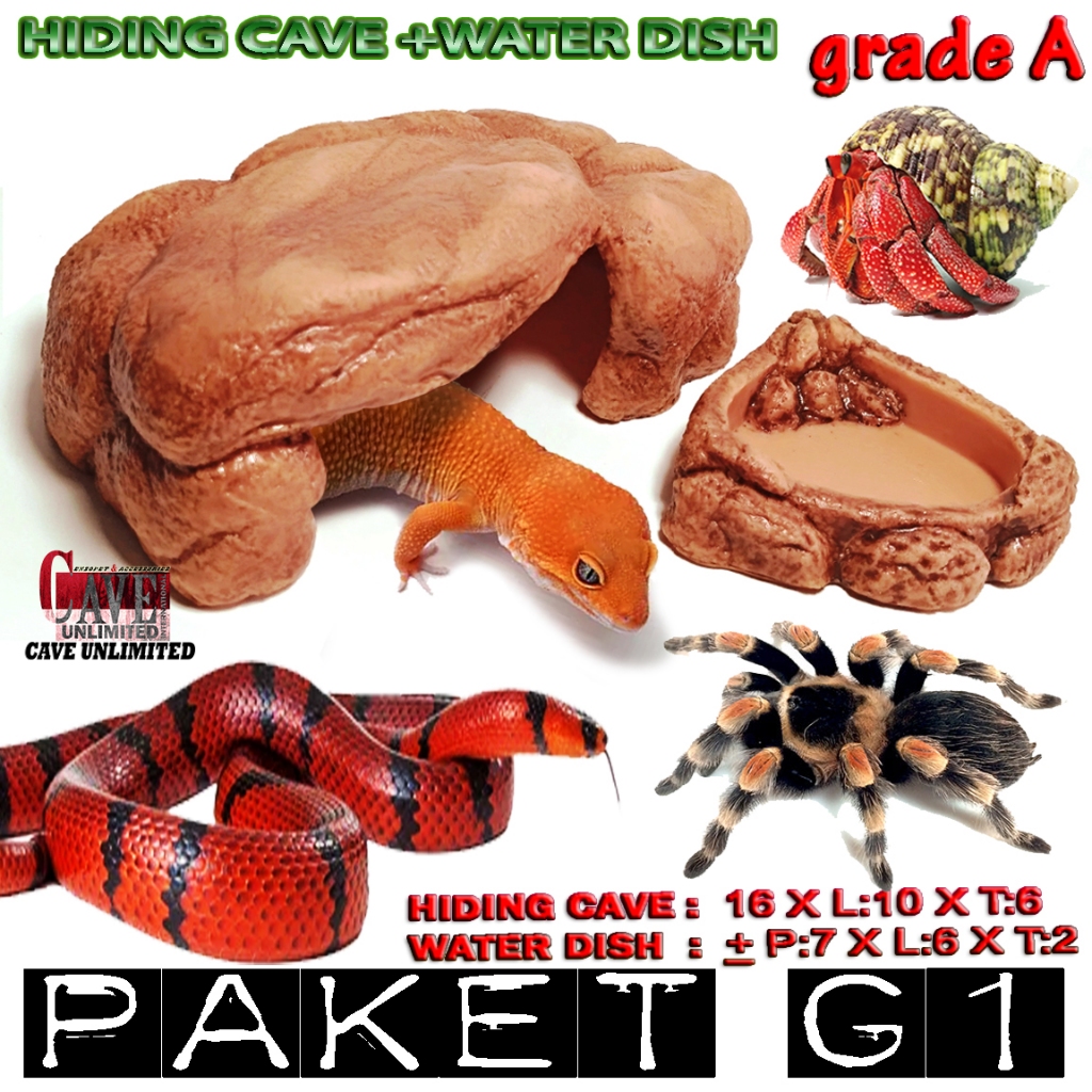PAKET HC G1 GRADE A HIDING CAVE SPOT TEMPAT SEMBUNYI + WATER FEEDING DISH GECKO KADAL INSECTA TARANT