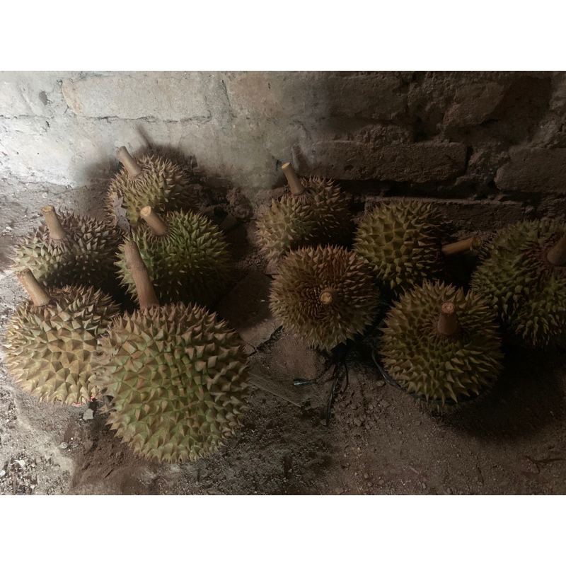 

durian