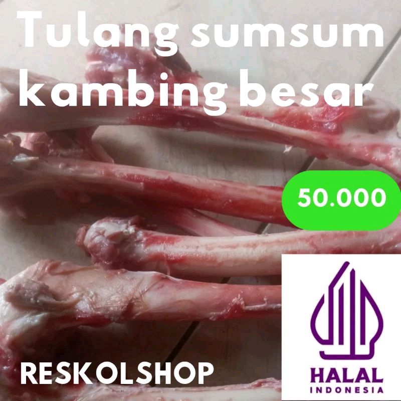

Tulang sumsum kambing besar