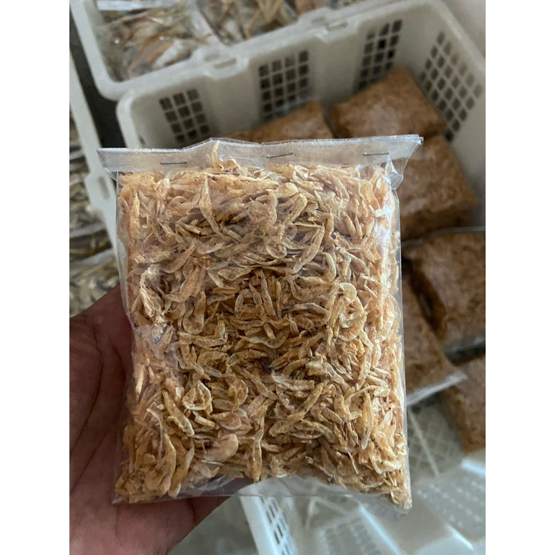 

Udang Rebon Tawar