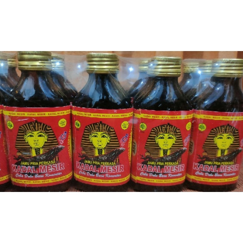 

[S0A86] Jamu Kuat Kadal Mesir Original Herbal 7568