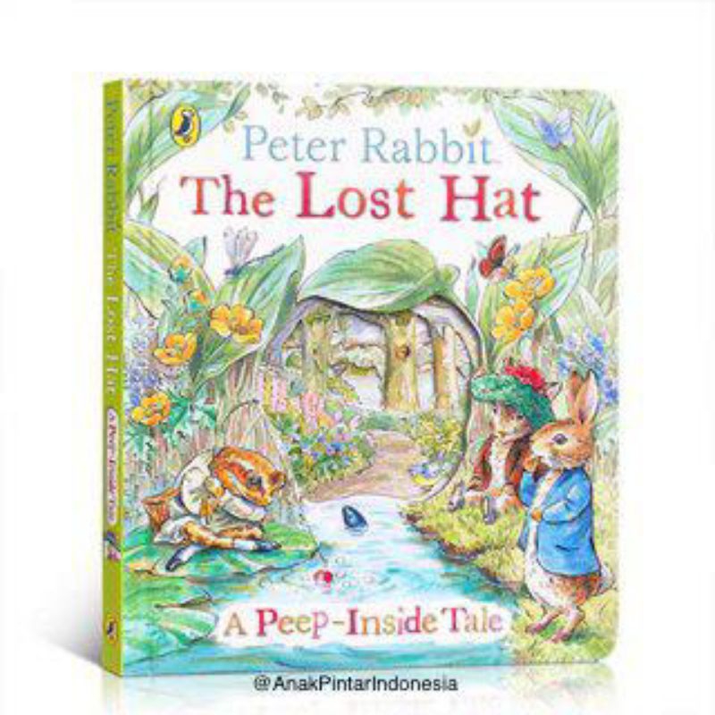 USBORNE A PEEP INSIDE TALE PETER RABBIT THE LOST HAT