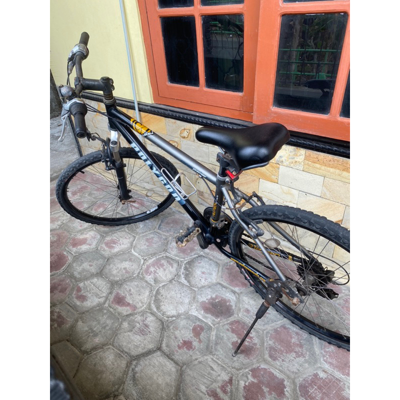 Sepeda MTB Polygon Premier