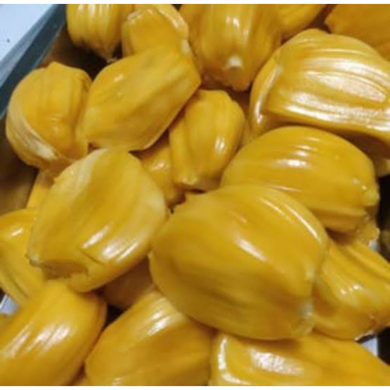 

Buah nangka manis 500 gram buah nangka segar siap makan