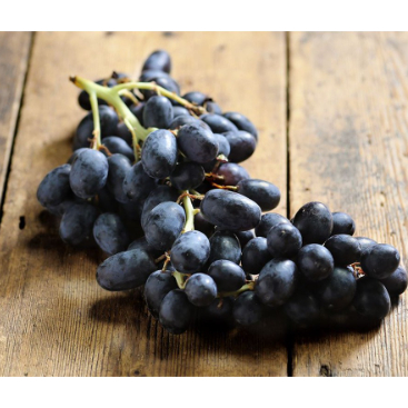 

Buah Anggur Hitam Autumn