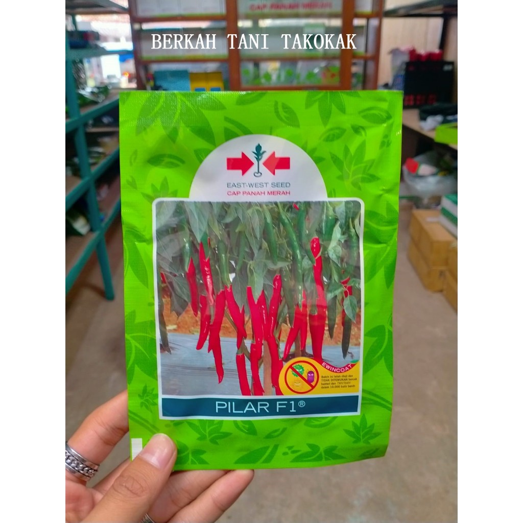 Benih Cabai/cabe Besar PILAR F1 1.500 Biji - Bibit Cabe Cap Panah Merah