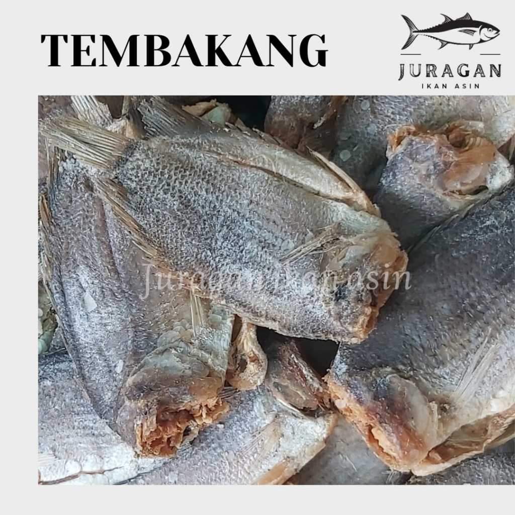 

IKAN TEMBAKANG KEMASAN 250GR BISA COD / TERSEDIA HARGA GROSIR