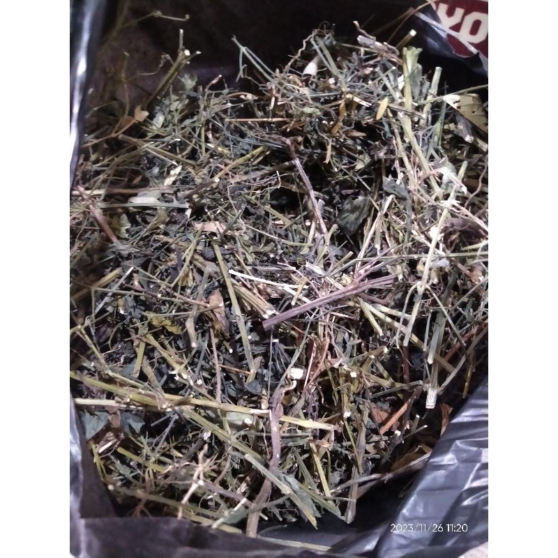 

Sambiloto Kering 250 gr - Daun Paitan