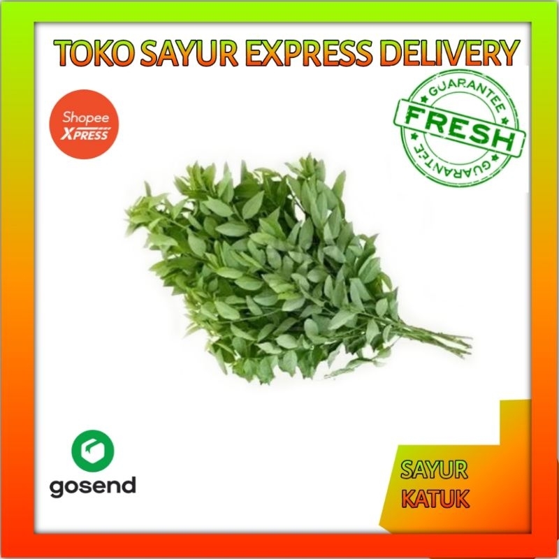 

Sayur katu katuk - sayur express palembang