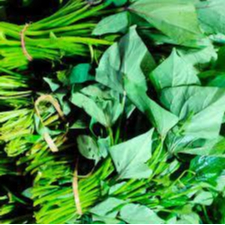 

DAUN UBI _ 1 IKAT