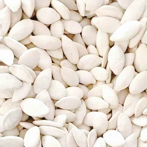 

Harga Mur4h KUACI BIJI LABU /. KUACI PUTIH 500 GRAM Harga mantul