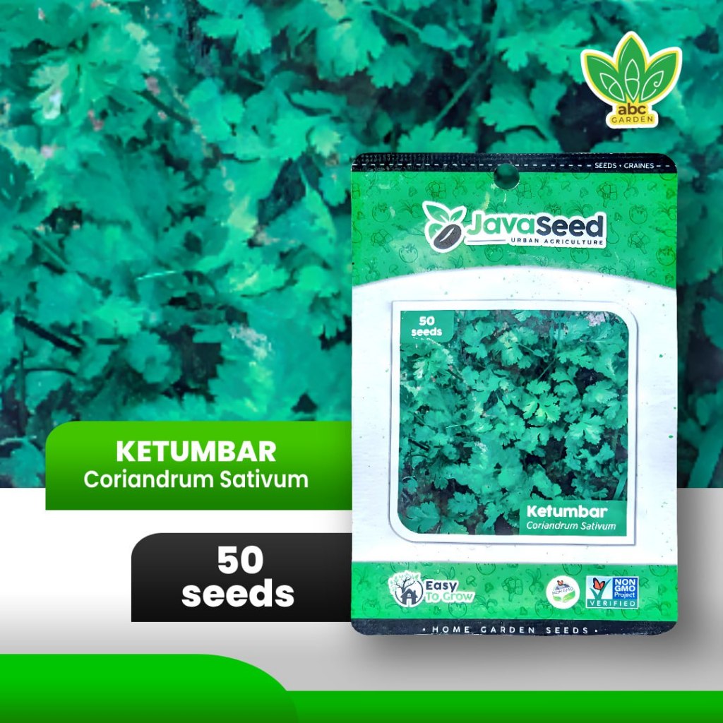 [50 seeds] Benih Daun Ketumbar Hijau Favor Coriander F1