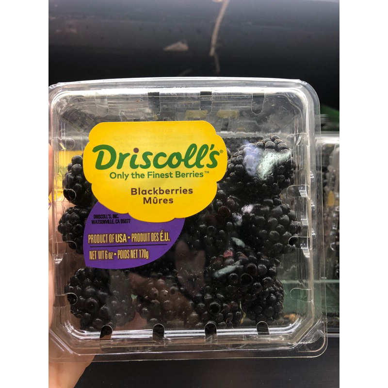 

Buah Blackberries | Blackberry Driscoll USA 170 grm