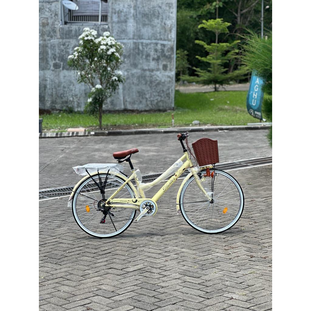 sepeda keranjang ctb hunter salvia 26"