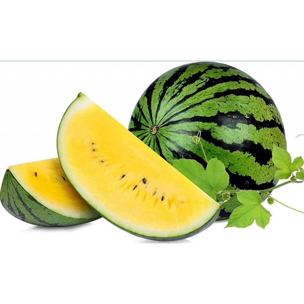 

Buah Semangka Kuning Bulat Utuhan (4-5kg), Ready Stock Sameday Delivery Jogja