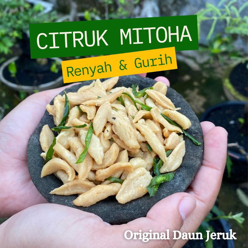 

Citruk MITOHA - Camilan Rasa Original Daun Jeruk Kemasan 100gr 250gr 500gr