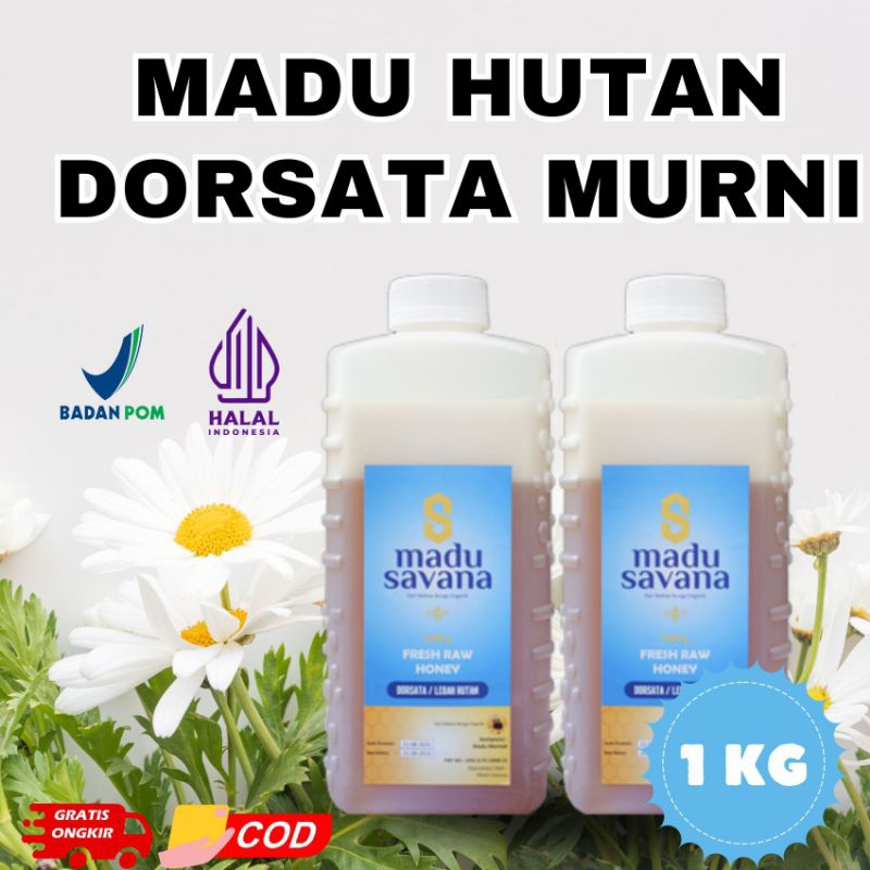 

Madu Hutan Dorsata Murni 100% Pure Honey Savana