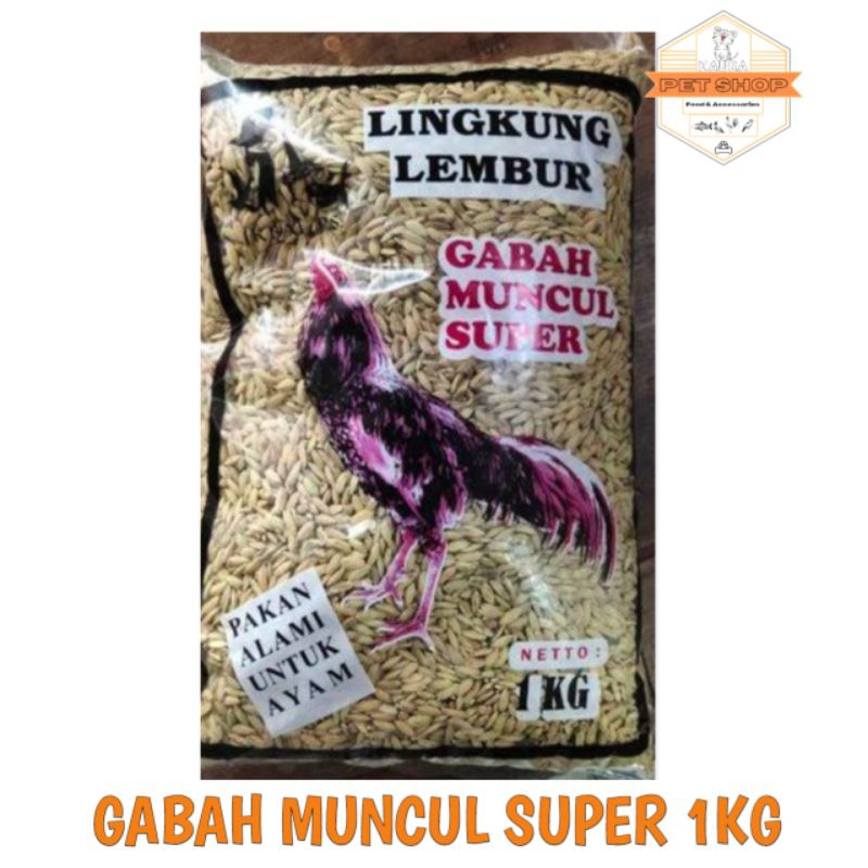 Gabah Muncul Super / Pakan Ayam gabah padi 1 kg