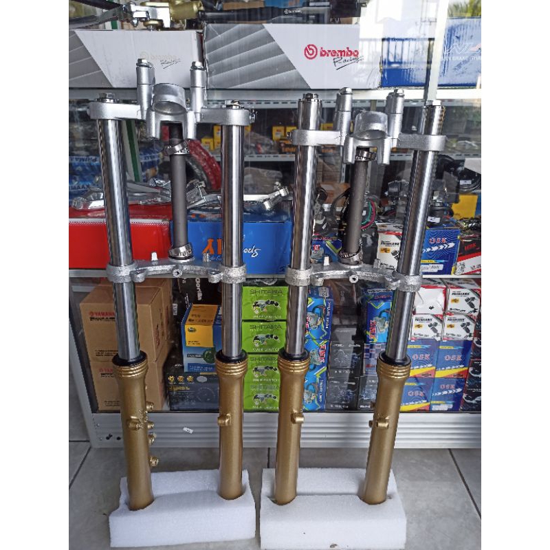 shock ninja pnp cb gl mp tiger