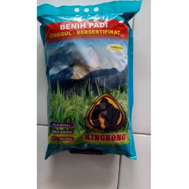 benih padi IR 64 kingkong kemasan 5 kg