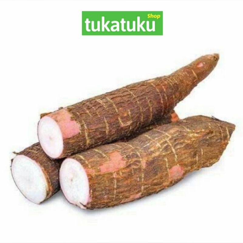 

SINGKONG MENTEGA (1 KG)