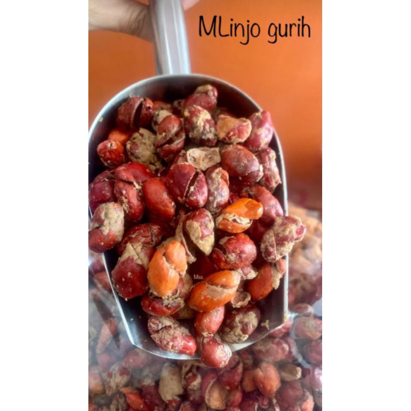 

Mlinjo gurih