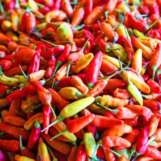 

GJKM3141 ORIGINAL% Cabe / Cabai Rawit Merah 500 gr