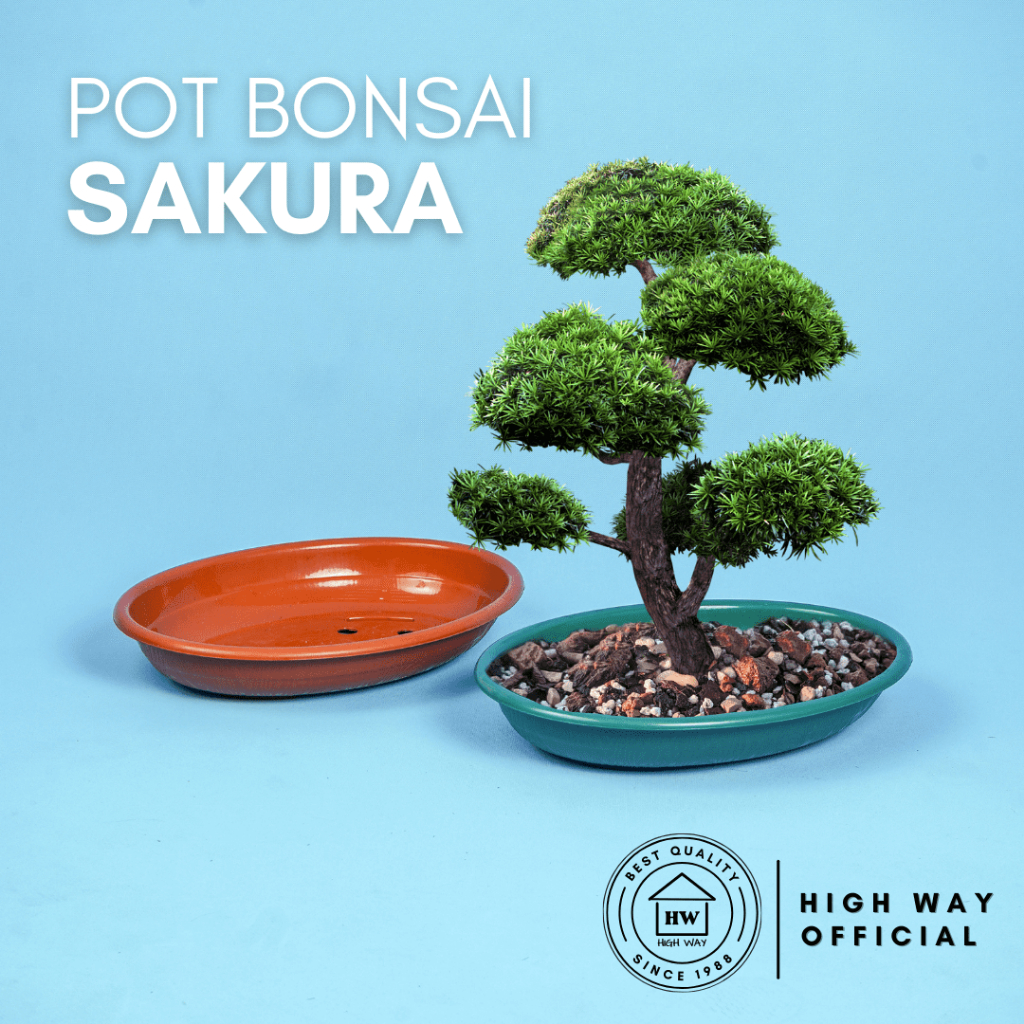 HIGH WAY - Pot Bonsai Oval Sakura Motif Kayu Ukuran Besar Premium Tempat Bibit Tanaman Bunga Hias Pl
