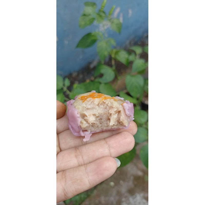 

Dimsum Homemade premium