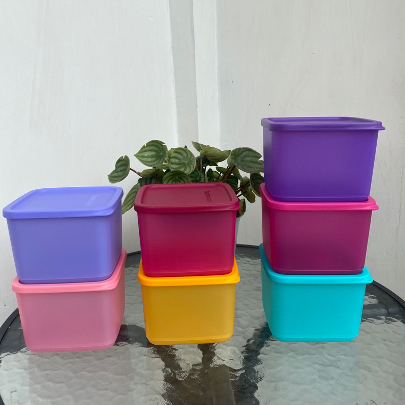 Toples Tupperware / Medium Tropical Fresh