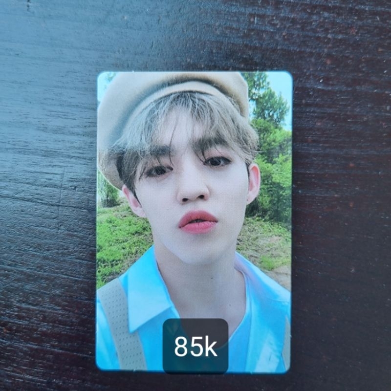 PC PHOTOCARD SEVENTEEN SCOUPS SEUNGCHEOL BARET AN ODE HOPE