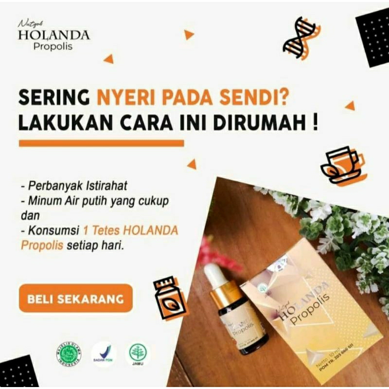 Holanda Propolis Asli Original