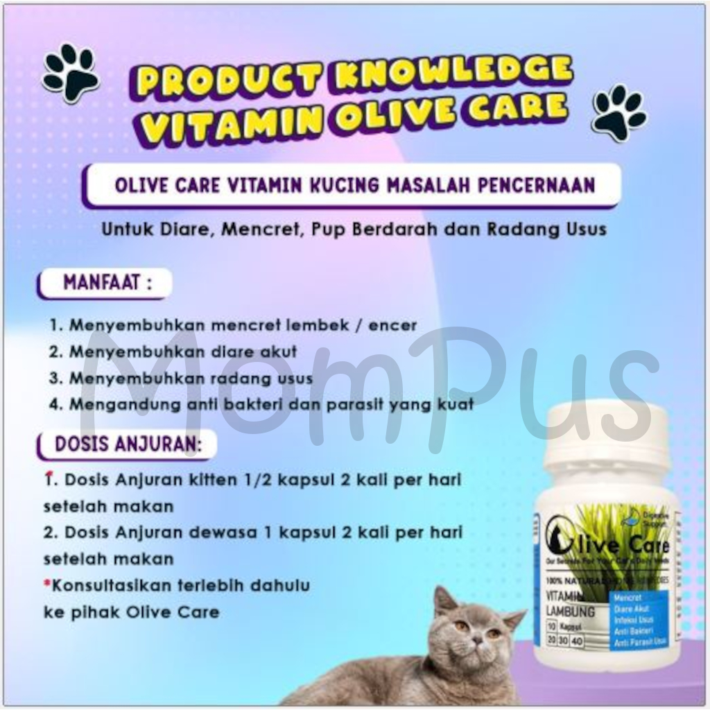 VITAMIN OLIVE CARE 1 Kapsul All Varian Obat Penggemuk KUCING Cat Penambah Nafsu Makan Pelebat Bulu Sakit Flu Diare