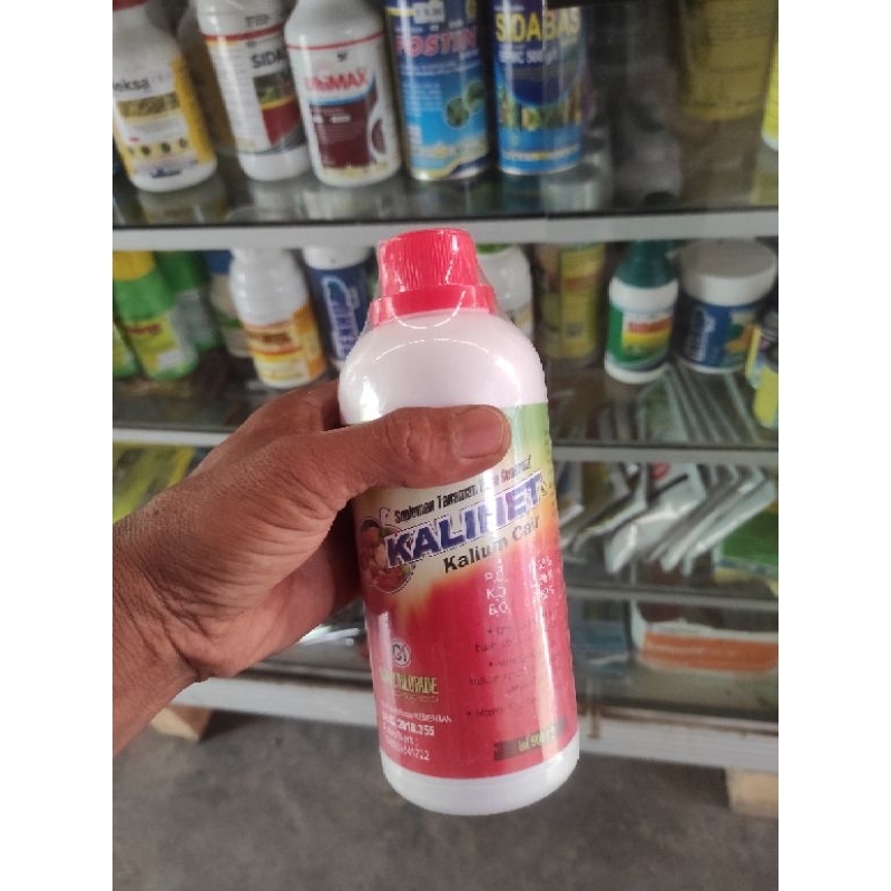 Kalinet 500 Gram