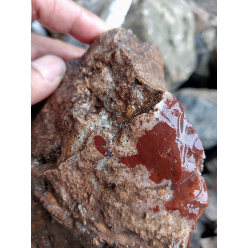 merah Garut keristal