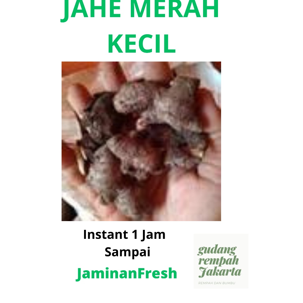 

[♔ N47$] JAHE MERAH KECIL 1 KILOGRAM Weekday