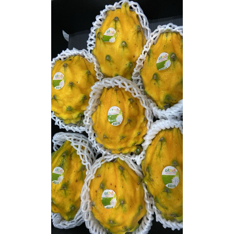 

BUAH NAGA KUNING / YELLOW DRAGON FRUIT EQUADOR BUAH IMPORT PREMIUM TERMURAH