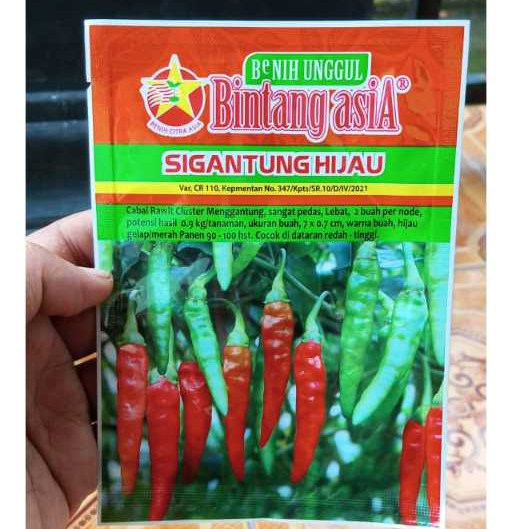 BENIH CABE RAWIT MERUNDUK SIGANTUNG HIJAU - 10 GRAM