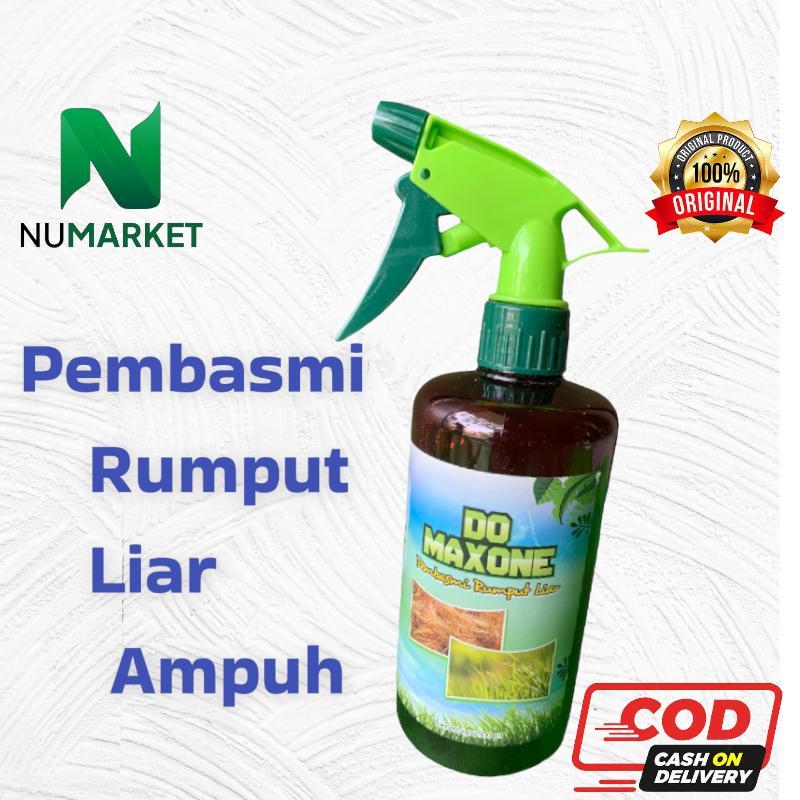 RACUN PEMBASMI RUMPUT LIAR/OBAT PENGHILANG RUMPUT LIAR