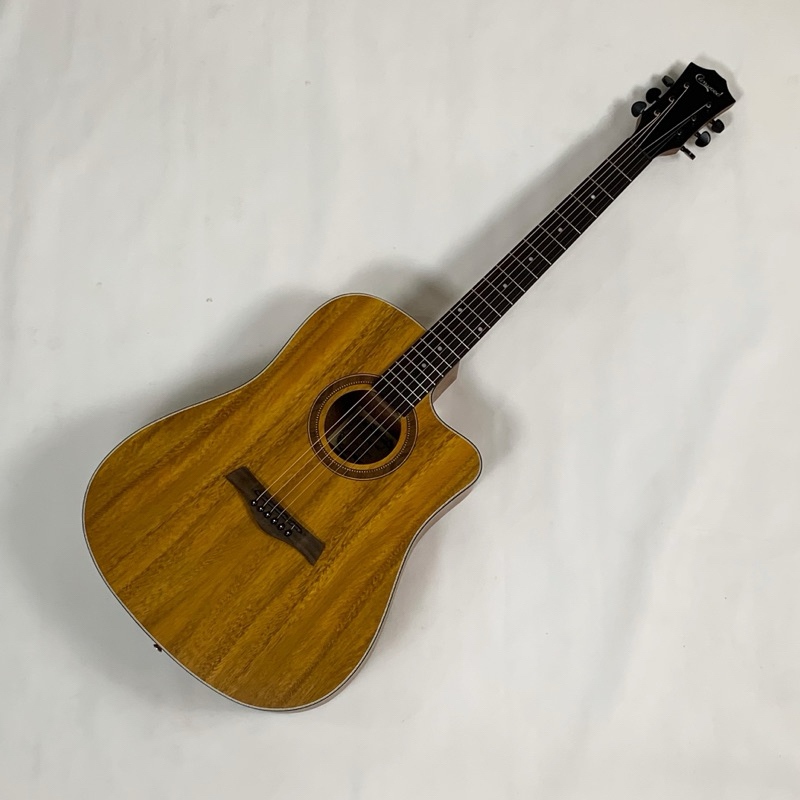 original gitar camwood iwc 243 nsk