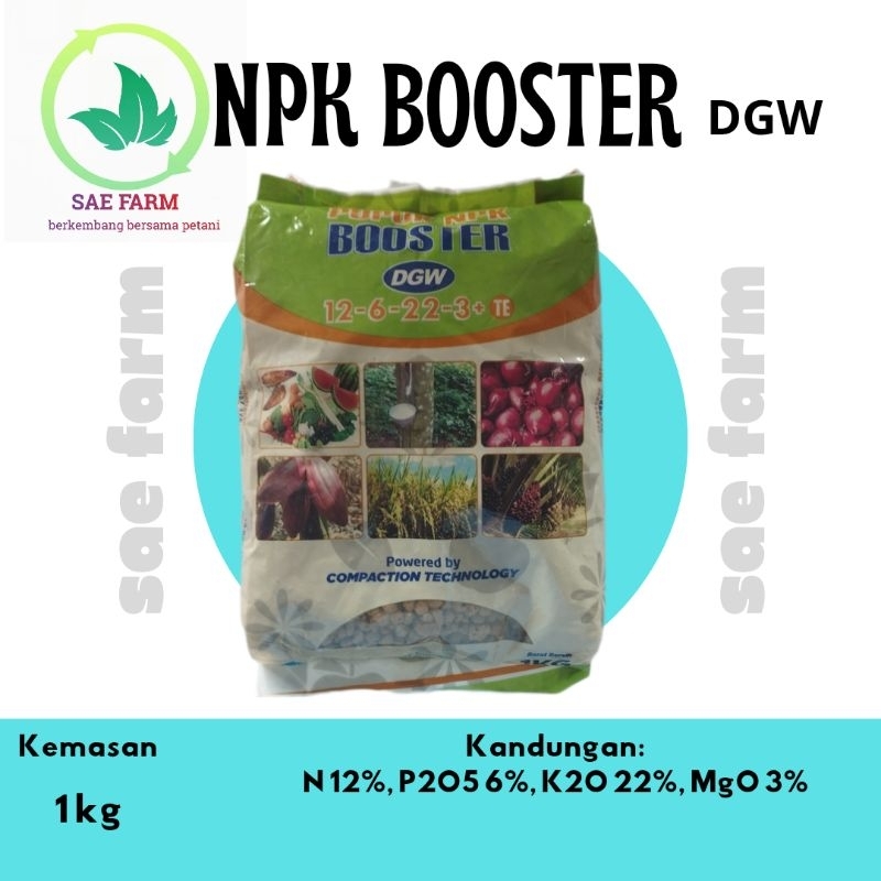 NPK BOOSTER DGW 1kg 12-6-22-3 +TE