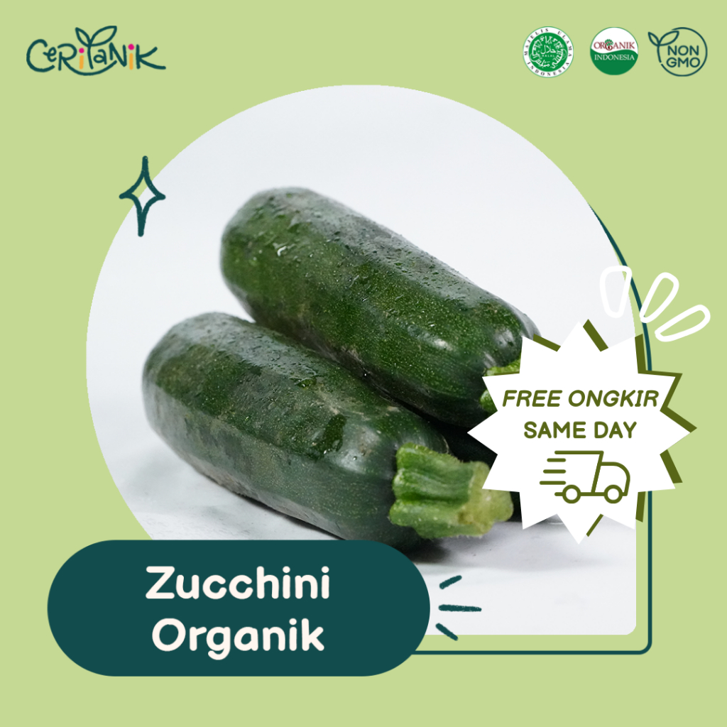 

Zucchini Organik 500 gram - Ceritanik - Zucchini Organic - Sayur Organik Murah - Sayur Organik Sehat - Sayur Organik Premium